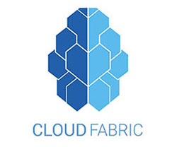 Idecution's Client in Information Technology - Cloud Fabric